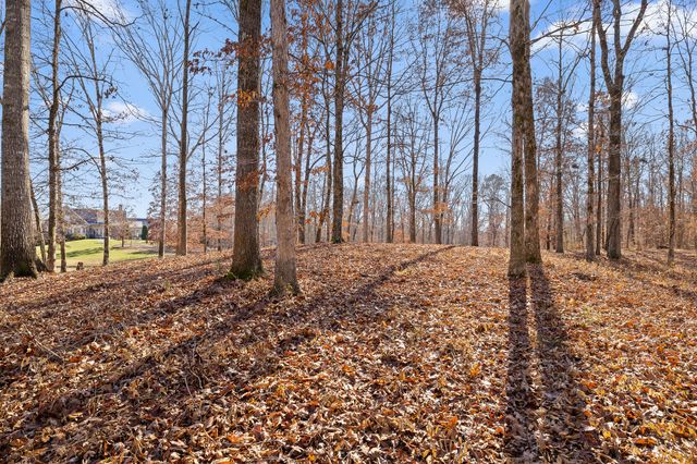 159 Litchfield Lane, Cleveland, TN 37312