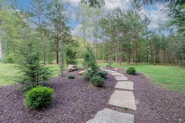 317 Crestview Lane, Cherry Log, GA 30522