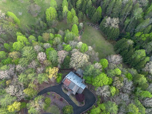 317 Crestview Lane, Cherry Log, GA 30522