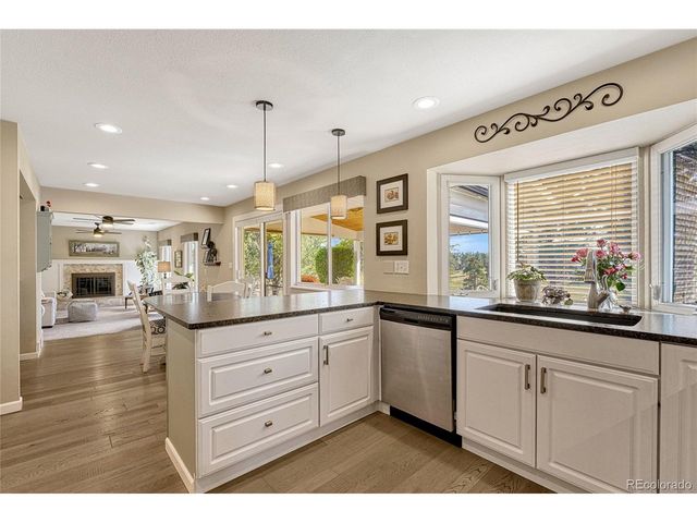 11040 E Stallion Dr, Parker, CO 80138