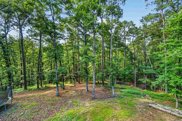 914 Oakgrove Rd Road, Royal, AR 71968