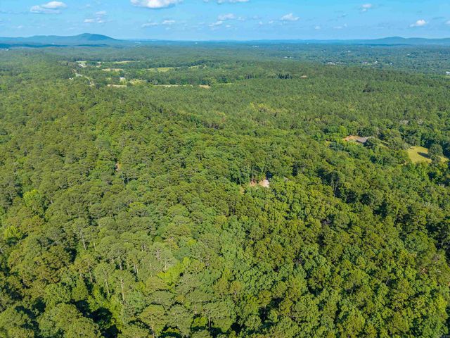 914 Oakgrove Rd Road, Royal, AR 71968