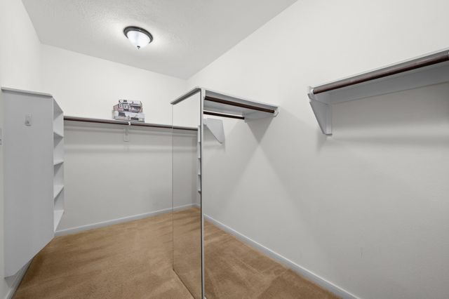 27234 Cypress Springs Lane, Cypress, TX 77433