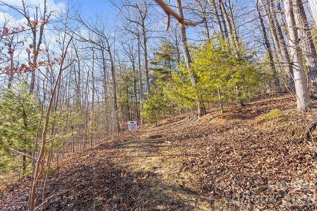 0000 Pinnacle Mountain Road Lots 1,2,3,4, Zirconia, NC 28790