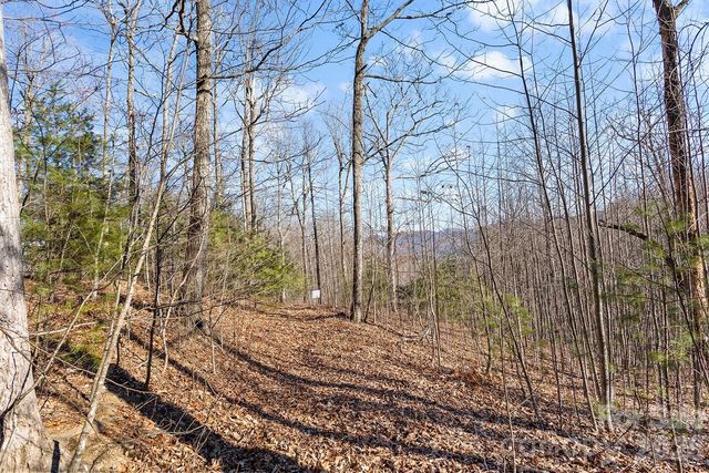 0000 Pinnacle Mountain Road Lots 1,2,3,4, Zirconia, NC 28790