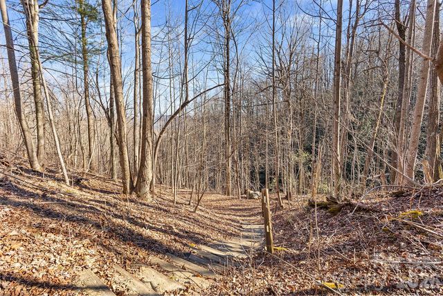 0000 Pinnacle Mountain Road Lots 1,2,3,4, Zirconia, NC 28790