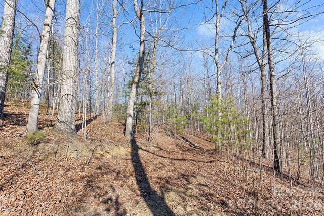 0000 Pinnacle Mountain Road Lots 1,2,3,4, Zirconia, NC 28790