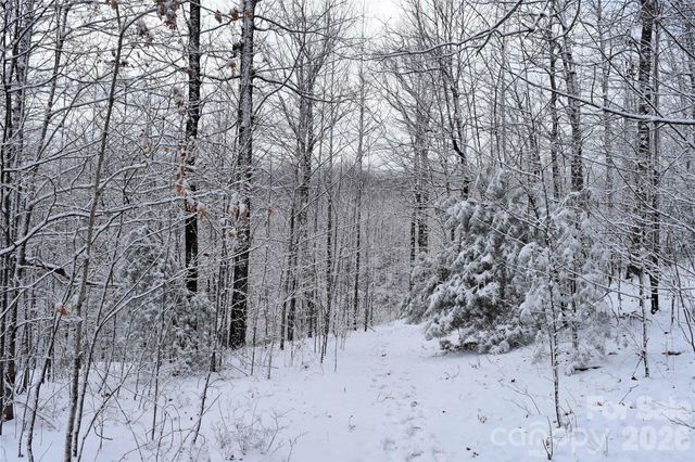 0000 Pinnacle Mountain Road Lots 1,2,3,4, Zirconia, NC 28790