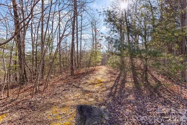 0000 Pinnacle Mountain Road Lots 1,2,3,4, Zirconia, NC 28790