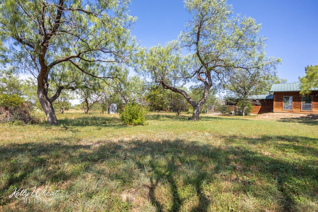 Image 55 of property listing at 116 Edinburgh Road, San Angelo, TX 76901