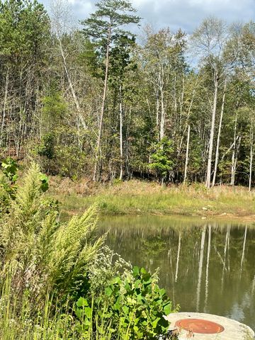 3685 Crockett Point Jf141, Jasper, TN 37347