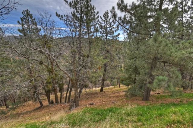 32047 Pine Cone, Running Springs, CA 92382