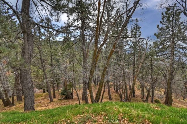32047 Pine Cone, Running Springs, CA 92382