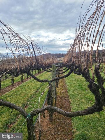 CHARLES ST, Gordonsville, VA 22942