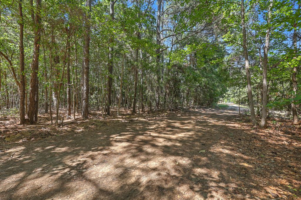 Lot 6 Nelson View Drive, Mount Pleasant, SC 29429