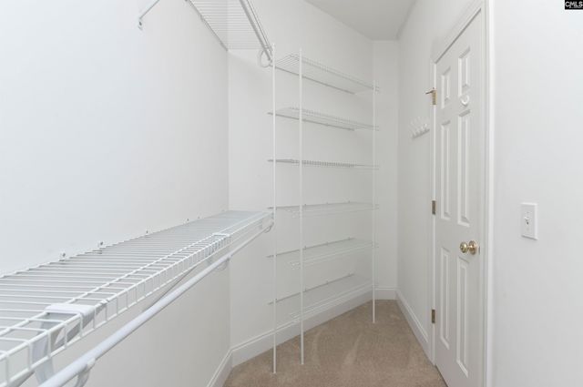 31 Bird Springs Court, Columbia, SC 29223