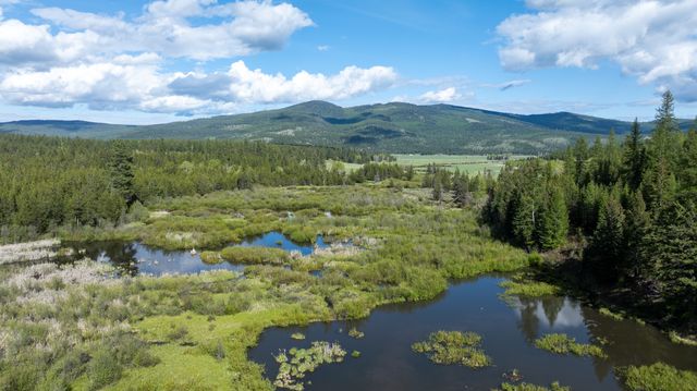 3180 Browns Meadow Road, Kila, MT 59920