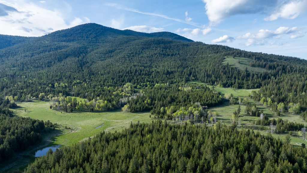 3180 Browns Meadow Road, Kila, MT 59920 photo 2