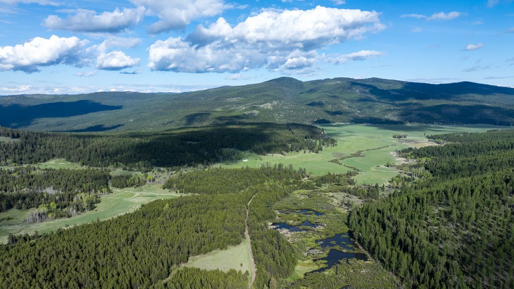3180 Browns Meadow Road, Kila, MT 59920 photo 4