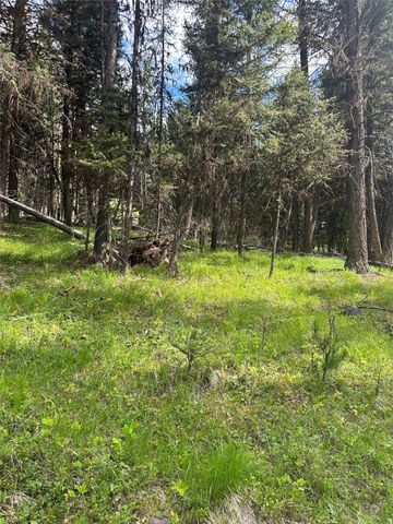 1274 Grandview Drive, Seeley Lake, MT 59868