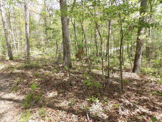 310 Dogwood Road, Pikeville, TN 37367