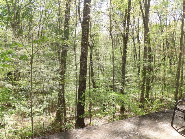 310 Dogwood Road, Pikeville, TN 37367