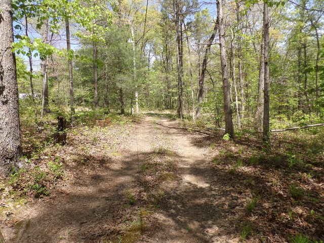 310 Dogwood Road, Pikeville, TN 37367