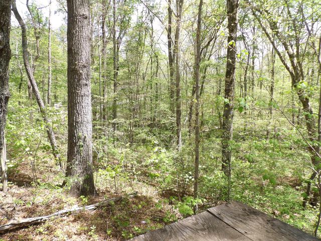 310 Dogwood Road, Pikeville, TN 37367