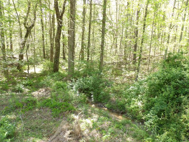 310 Dogwood Road, Pikeville, TN 37367