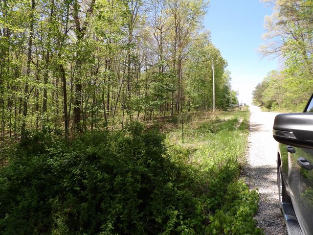 310 Dogwood Road, Pikeville, TN 37367