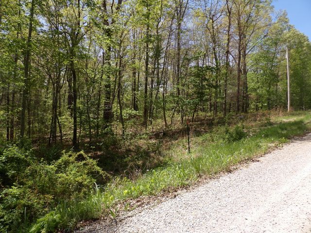 310 Dogwood Road, Pikeville, TN 37367