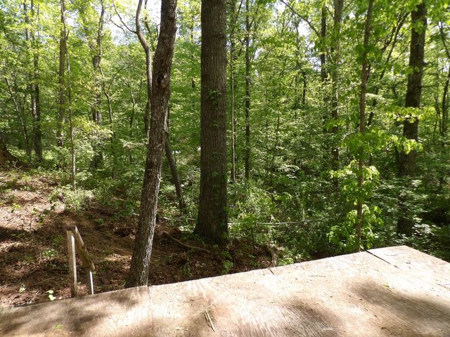 310 Dogwood Road, Pikeville, TN 37367