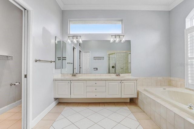 30303 LAURELWOOD LANE, Wesley Chapel, FL 33543