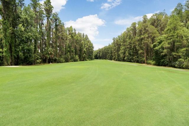 30303 LAURELWOOD LANE, Wesley Chapel, FL 33543