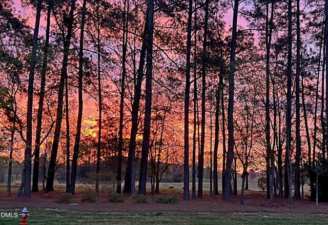 303 Pond Bluff Way, Cary, NC 27513