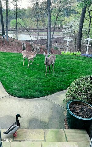 303 Pond Bluff Way, Cary, NC 27513