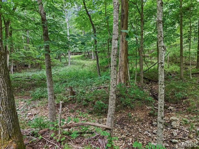 0 Upper Moss Hollow, Barnhart, MO 63012
