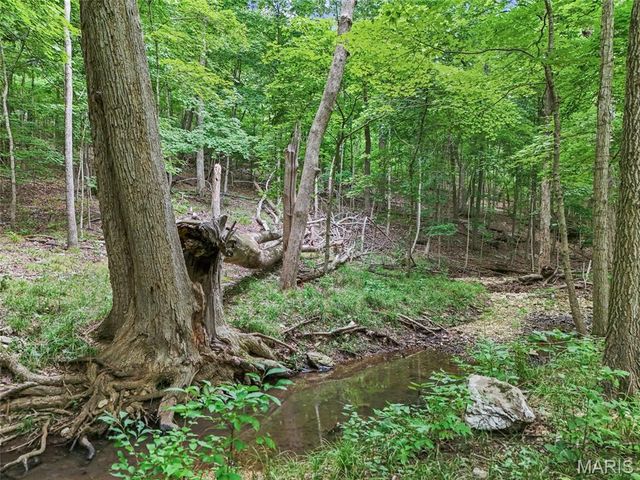 0 Upper Moss Hollow, Barnhart, MO 63012