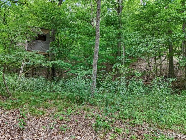 0 Upper Moss Hollow, Barnhart, MO 63012
