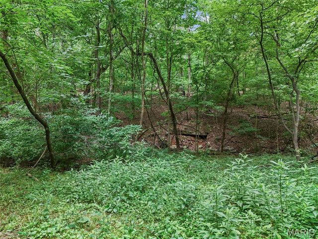 0 Upper Moss Hollow, Barnhart, MO 63012
