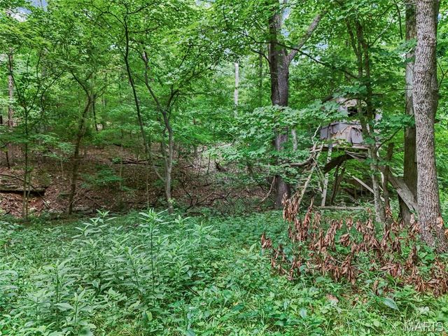 0 Upper Moss Hollow, Barnhart, MO 63012