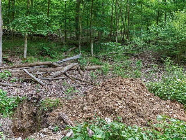 0 Upper Moss Hollow, Barnhart, MO 63012