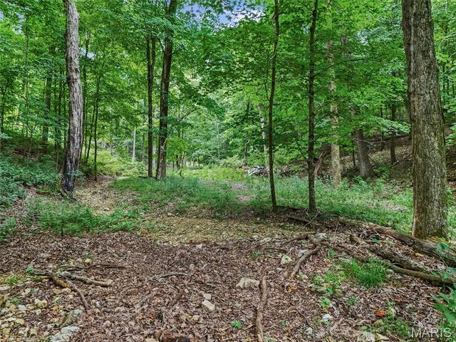 0 Upper Moss Hollow, Barnhart, MO 63012