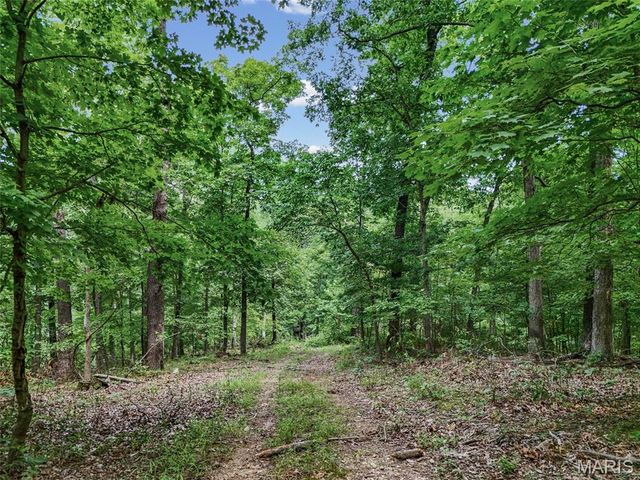 0 Upper Moss Hollow, Barnhart, MO 63012