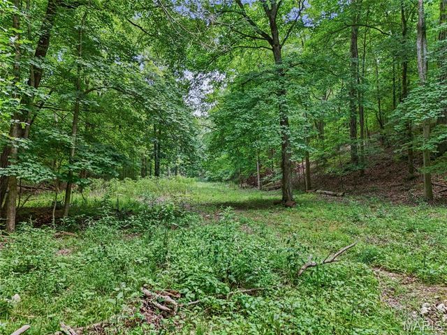 0 Upper Moss Hollow, Barnhart, MO 63012