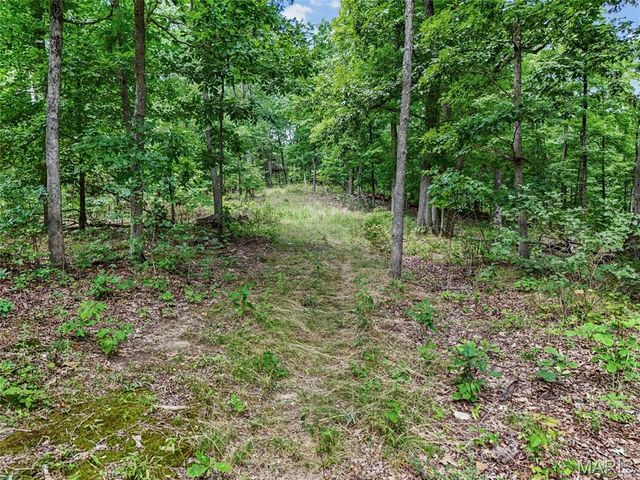 0 Upper Moss Hollow, Barnhart, MO 63012
