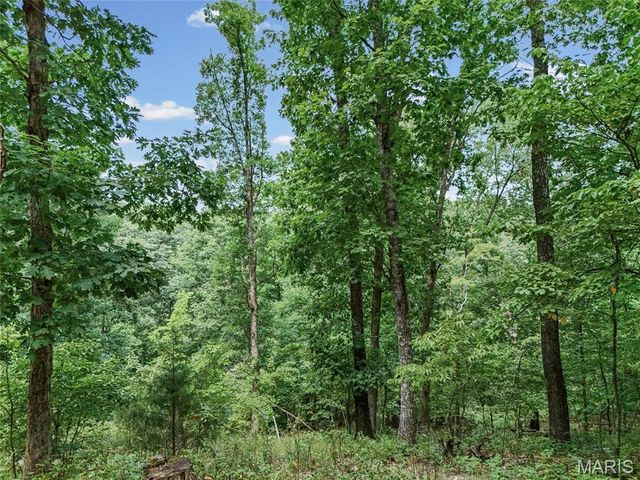 0 Upper Moss Hollow, Barnhart, MO 63012