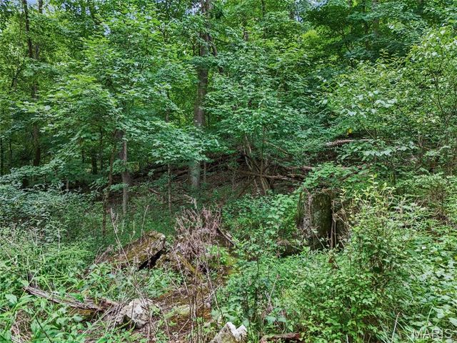 0 Upper Moss Hollow, Barnhart, MO 63012