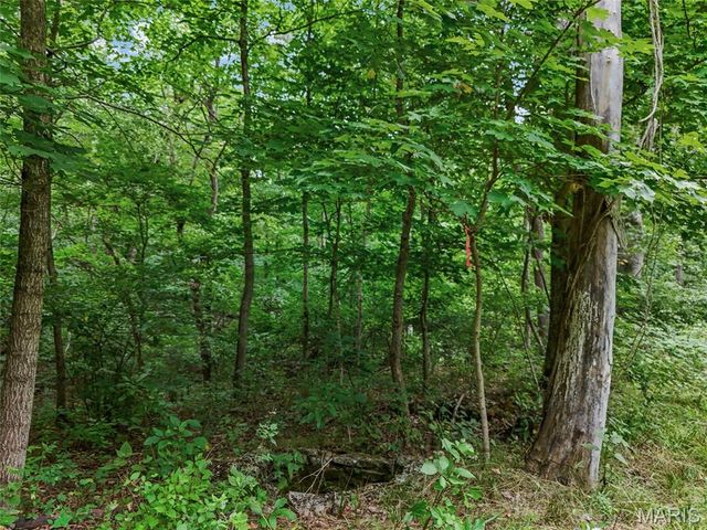 0 Upper Moss Hollow, Barnhart, MO 63012