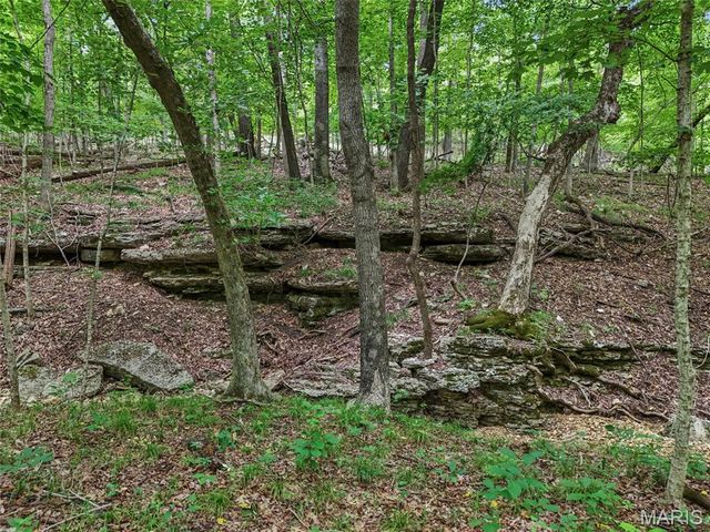 0 Upper Moss Hollow, Barnhart, MO 63012